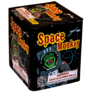 Space Monkey