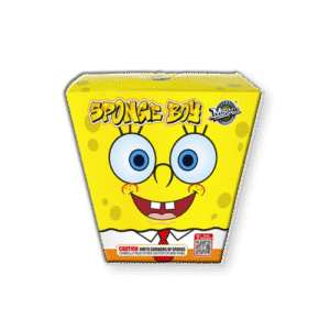 Sponge Boy